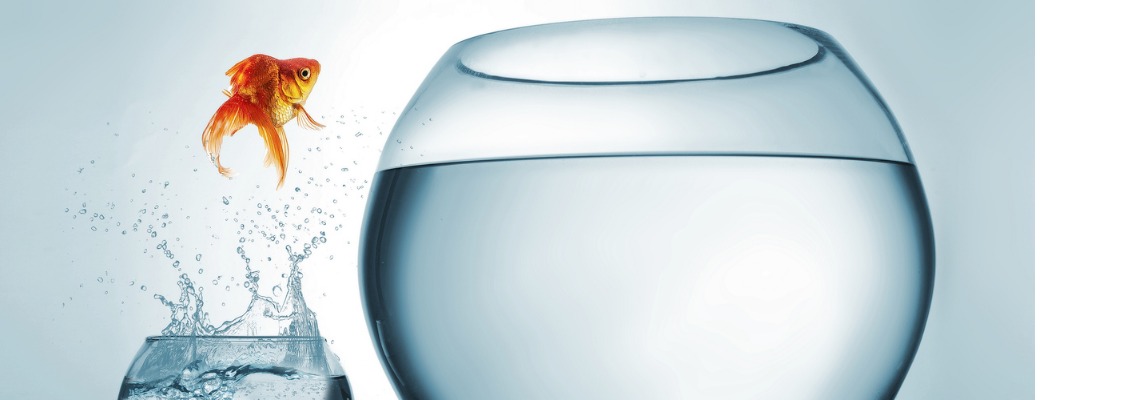 how to prepare for a job change
