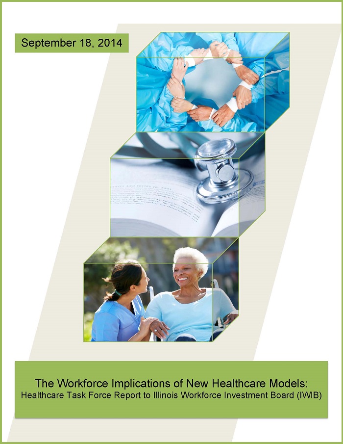 Heathcare Task Force Report PDF