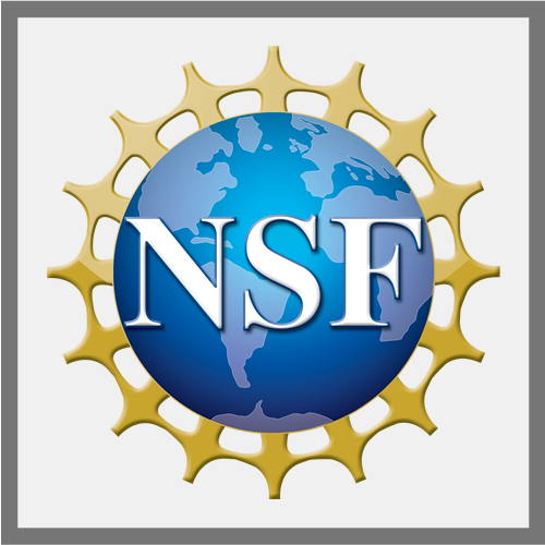 NSF.png